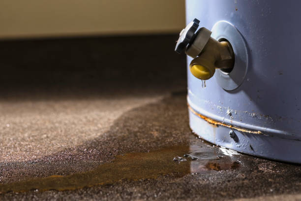 Best Ceiling water damage repair  in Brandon, FL