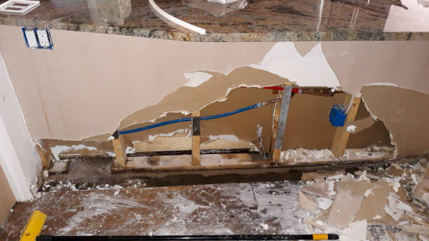 Best Water damage restoration near me  in Brandon, FL