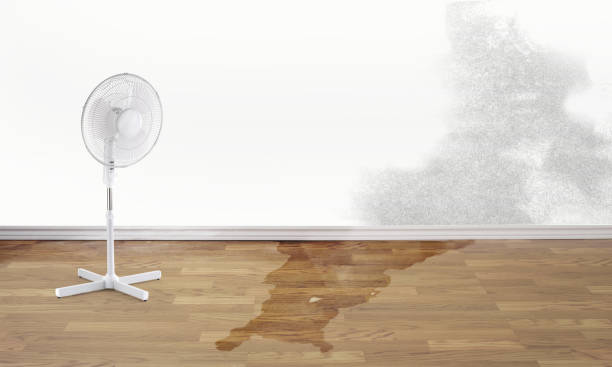 Water damage restoration process in Brandon, FL