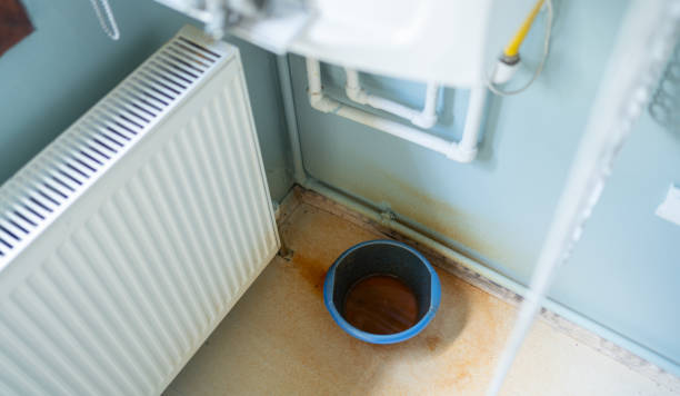 Best Flooded house restoration  in Brandon, FL