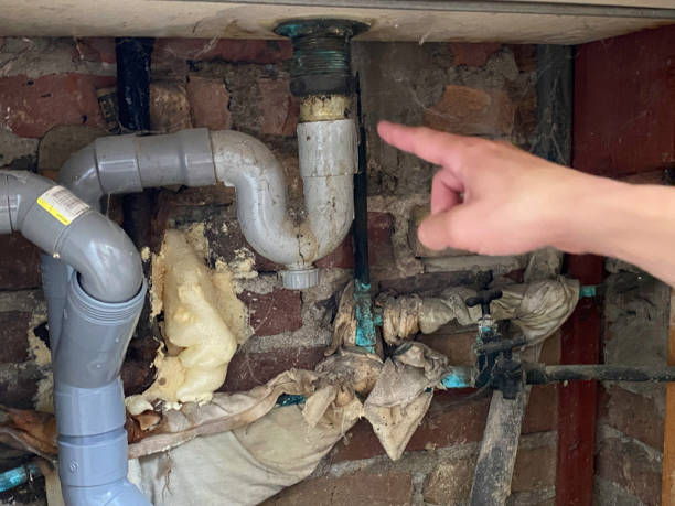 Reliable Brandon, FL Water damage restoration Solutions
