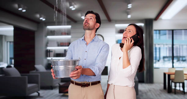 Best Water damage restoration near me  in Brandon, FL